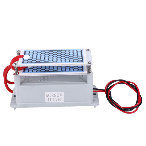 10 g/h 220 V Ozongenerator – Luftreiniger für Zuhause, Auto, Geruchsbeseitiger