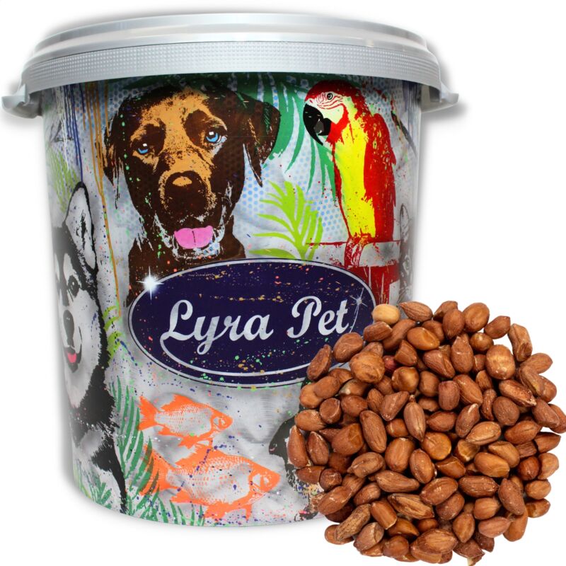 10 kg de cacahuètes Lyra Pet avec peau hk Argentinain 30 l tonne