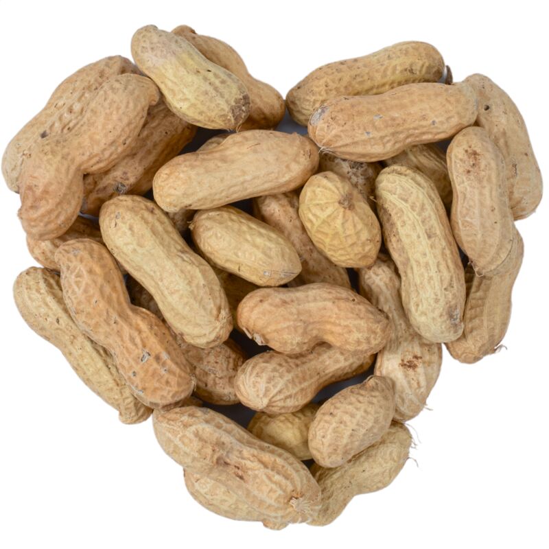 10 kg de cacahuètes Lyra Pet en cosses hk Argentine