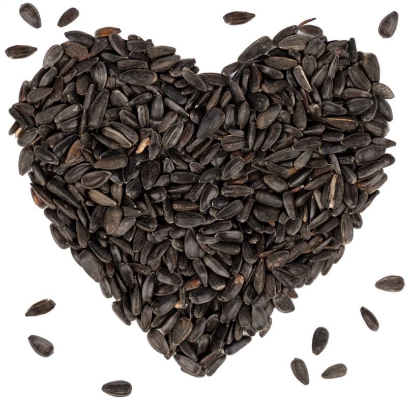 Lyra Pet - 25 kg de graines de tournesol ® noires hk Bulgarie