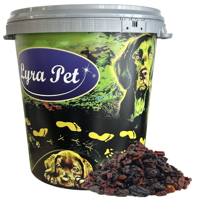 10 kg de raisins secs Lyra Pet dans un bac de 30 l