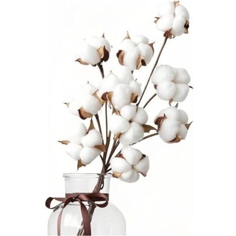 10 Natural Dried Cotton Flowers + 5 Cotton Head Flowers, Bouquet Dried Cotton Flowers, Cotton Branches, Fake Dried Plants for Balcony, Home, Table, Floral Arrangements, Weddings
