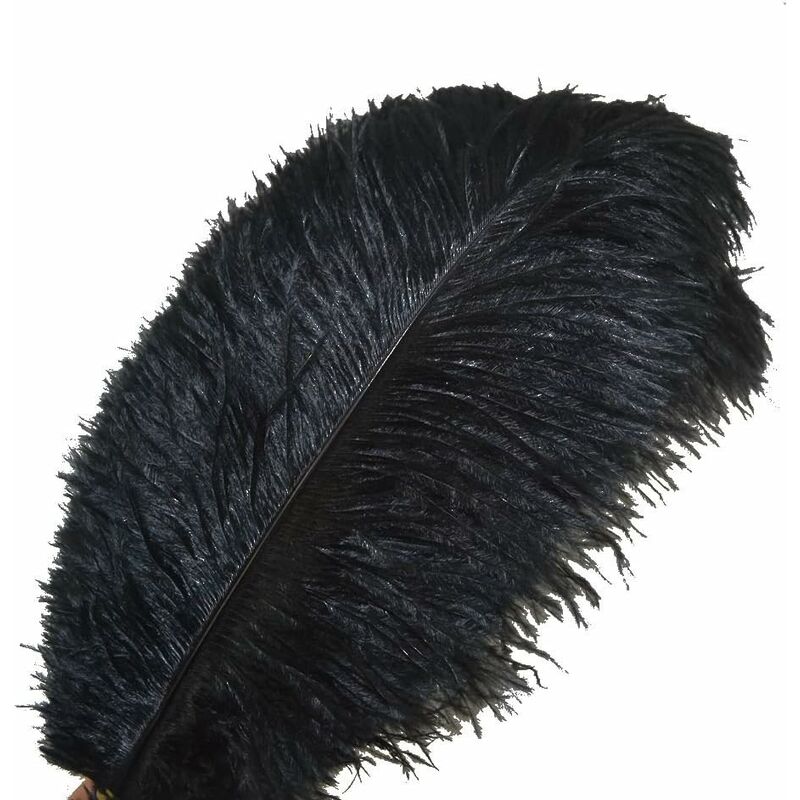10 Pack Ostrich Feathers Home Decor Wedding 30-35cm
