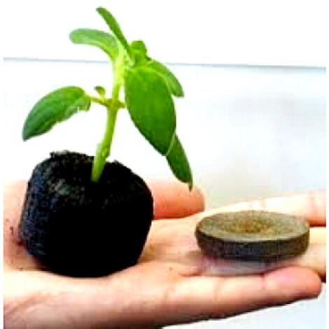 10 Pastillas de Turba. Germinaci�n Efectiva. Jiffy