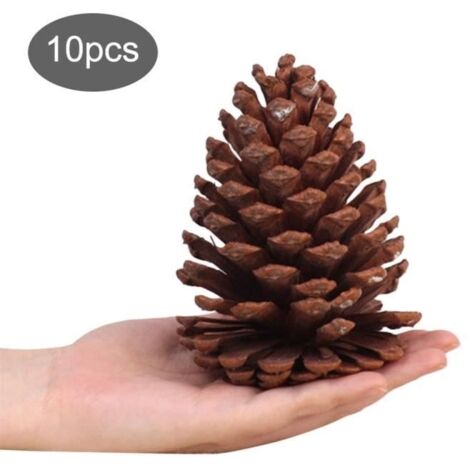 10 PCS Pommes de Pin de Noël, Pommes de Pin Naturelles pour la Table Cadeaux d'Artisanat d'arbre
