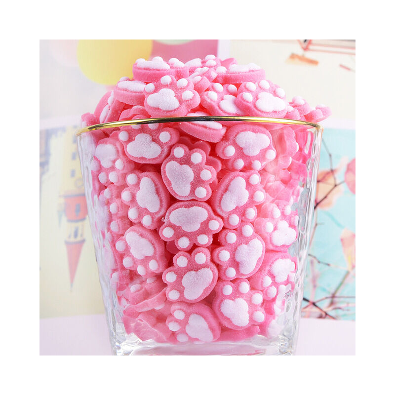 10 Pcs simulazione simpatico gatto artiglio