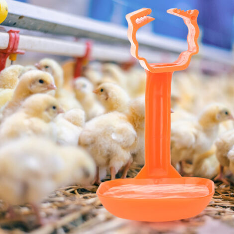 10 Pièces Abreuvoirs à Tétines pour Volailles, Becs Verseurs Anti-Gaspillage, Équipement Agricole