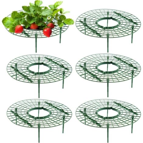 10 Pièces Cadres de Fraises, Support de Fraise Réglable, Support pour Plantes, Supports de Culture de Fraises, Support de Plantation de Fraises Amovibles, Protection Contre Pourriture et Moisissure