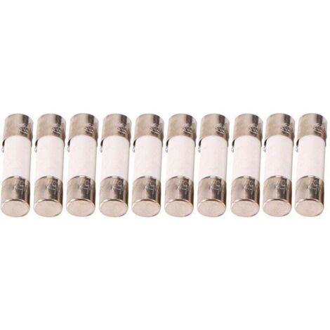 10 Pièces Tubes Céramique Fusibles 5x20mm 250V 0.5A à 500mA Rupture