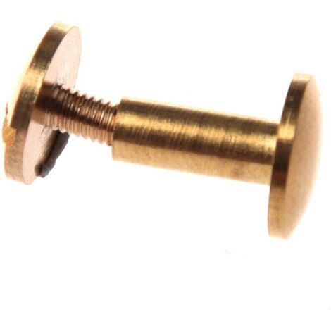 10 rivetti in ottone massiccio per cinture in pelle, 10 mm, con testa bombata e gambo filettato
