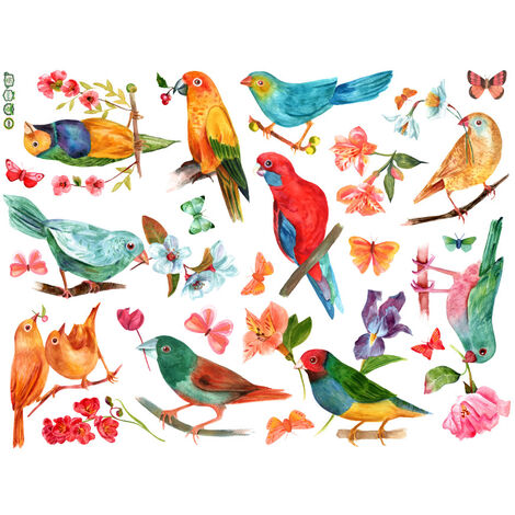 Sticker Mural Vogelparade - Oiseaux Multicolore Branche Arbre