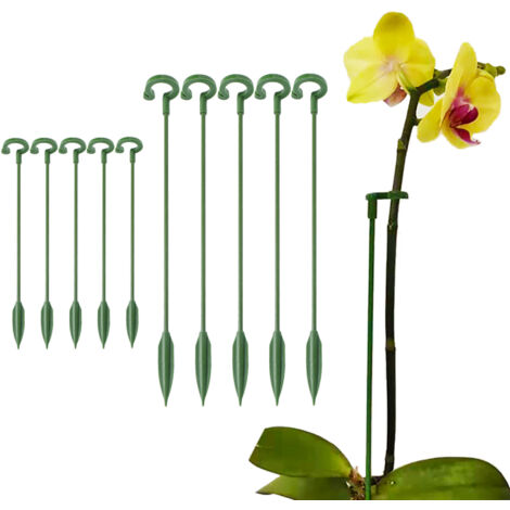 10 supports spéciaux pour plantes succulentes Phalaenopsis en pot.