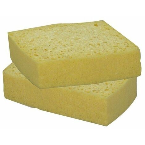 10 Tampon Vgetgrat Vert 11x7 Paquet De 2