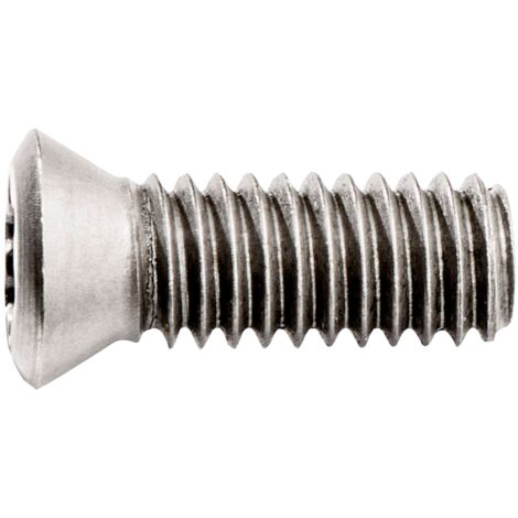 10 TORNILLOS DE FIJACION PARA PLACAS