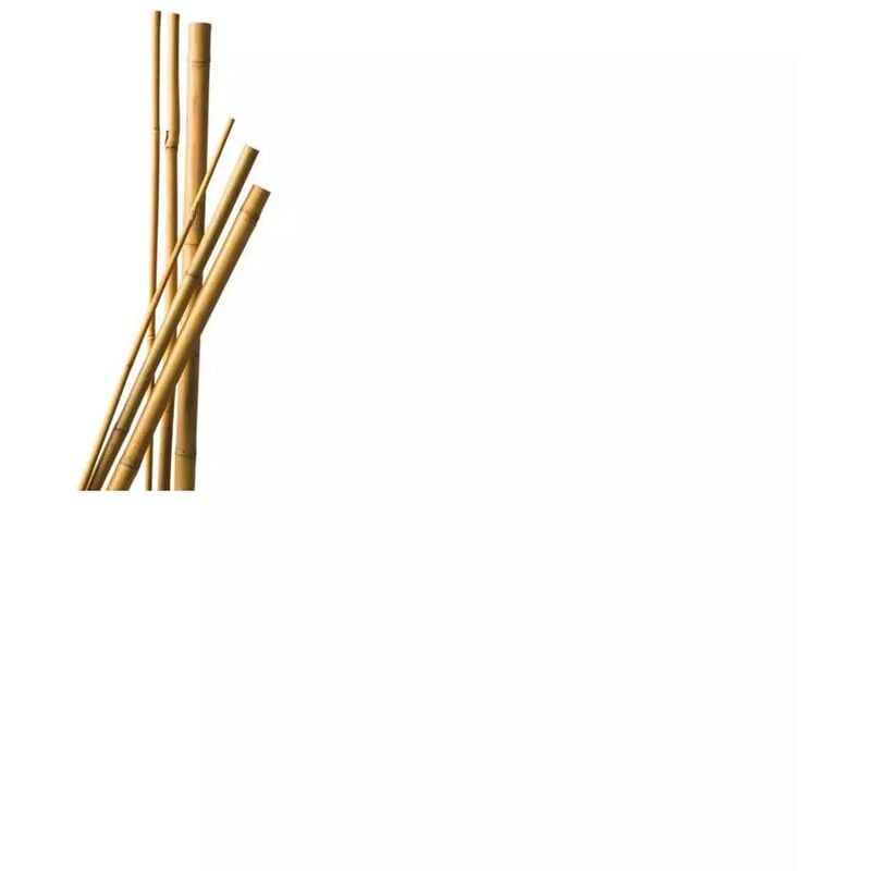 Lot de 10 Tuteurs Bambou 60 cm diam 6-8 mm