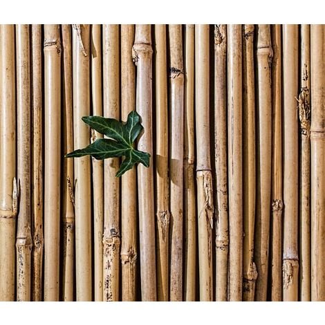 EXPOSITOR DE CAÑAS DE BAMBU BLANCAS DE 3/4CM DE DIAMETRO CON BAMBU  ENTRELAZADO. ALTURA 185CM ANCHO 75CM en EDOFLOR - DECORACION TEMATIZADA -  ARBOLES