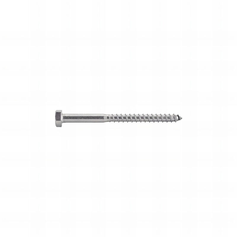 Rotofor - 10 vis bois à tête hexagonale DIN571 en inox A4 - diamètre 8 mm - 30/18