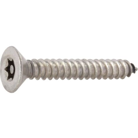 10 VIS DE SÉCURITÉ À TÊTE FRAISÉE TORX 3,5 X 25 MM TOOLCRAFT 88115