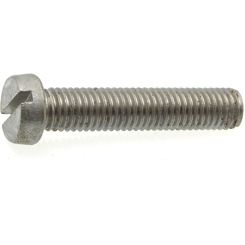 Rotofor - 10 vis métaux tête cylindrique f DIN84 inox A4 6.0 x 80