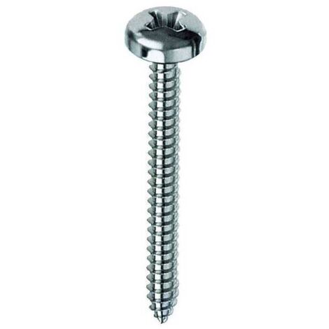10 x VITE AUTOFILETTANTE TC 2,9X9,5MM ZINCATA