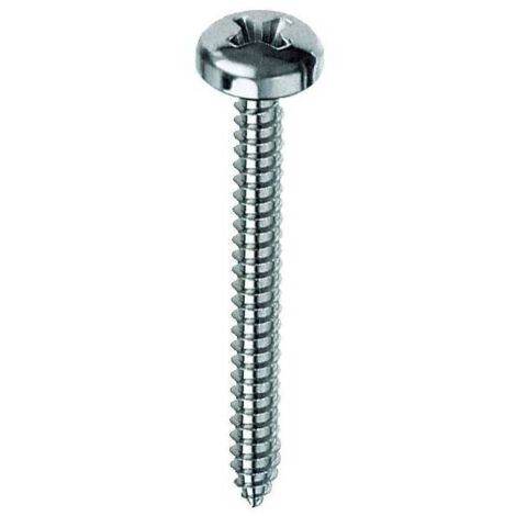 10 x VITE AUTOFILETTANTE TC 3,9X 13MM ZINCATA