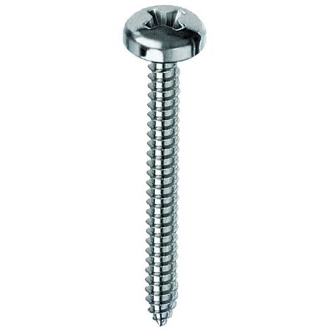 10 x VITE AUTOFILETTANTE TC 4,2X 22MM ZINCATA