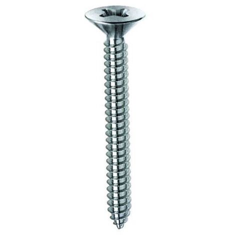10 x VITE AUTOFILETTANTE TSP 2,9X9,5MM ZINCATA