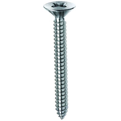 10 x VITE AUTOFILETTANTE TSP 3,9X19MM ZINCATA