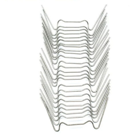 100 clous de jardin en acier inoxydable de type W