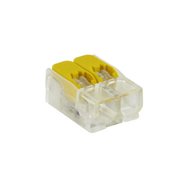 100 Connecteurs à levier 2 entrées BLM