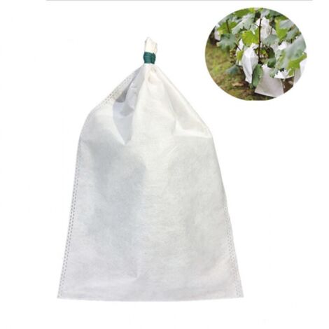 100 fundas para fruta de 20 x 30 cm: transpirables, resistentes al polvo, a los insectos y a los pájaros.