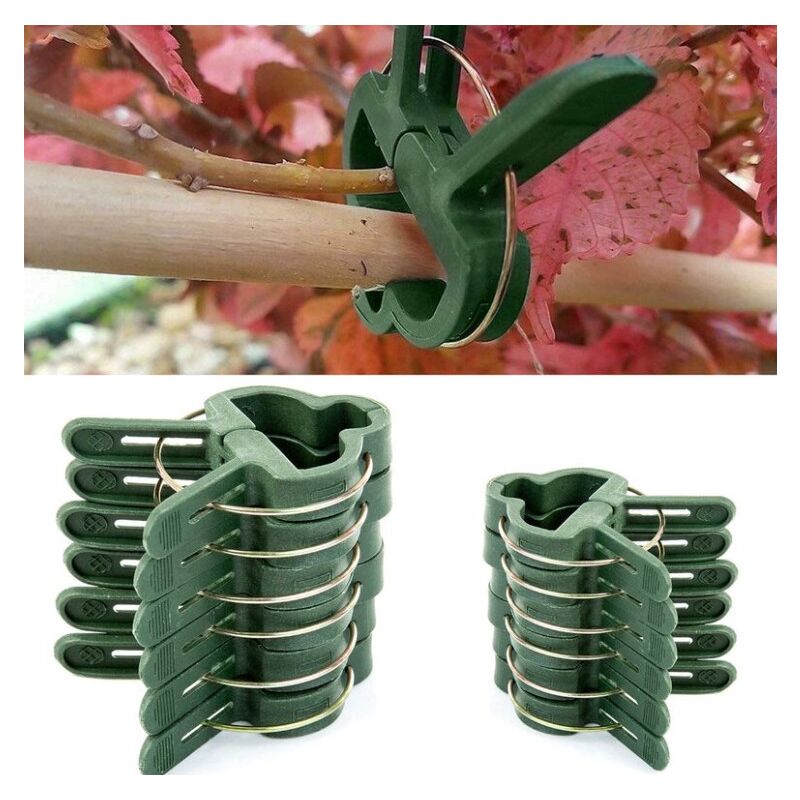 Csparkv - 100 Pcs Clips Plantes Pinces pour Plantes Grimpantes Attache Tomates Reutilisable Vert 50 Grandes+50 Petits