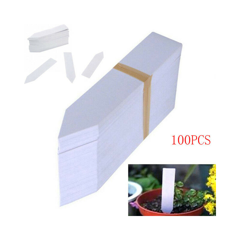 100 Pcs etichette in plastica marcatore per vasi