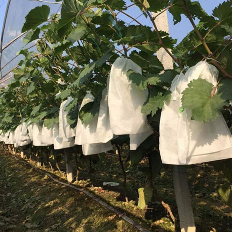 100 Pcs Jardin Raisins Fruits Protection Sac Fruit Forêt Légumes Lit Fleur Pest Control Maille Sac Insect Isolation Net Barrière Sac (250 * 320mm,