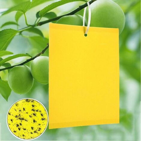 Plaquettes jaunes engluées pour plantes d'appartement. Hauteur 13 cm