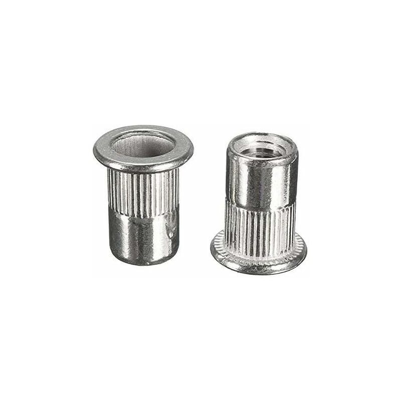 100 Pcs M6 Filetage Ecrou Rivet Rivnut Insert Serti 304 INOX