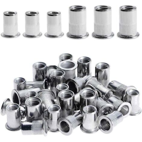 100 pezzi di dadi per rivetti M6 M8, dadi per rivetti in acciaio inossidabile, kit di assortimento di dadi a testa piatta per mobili in legno, dado M6 dado M8, 50 pezzi di ogni dimensione