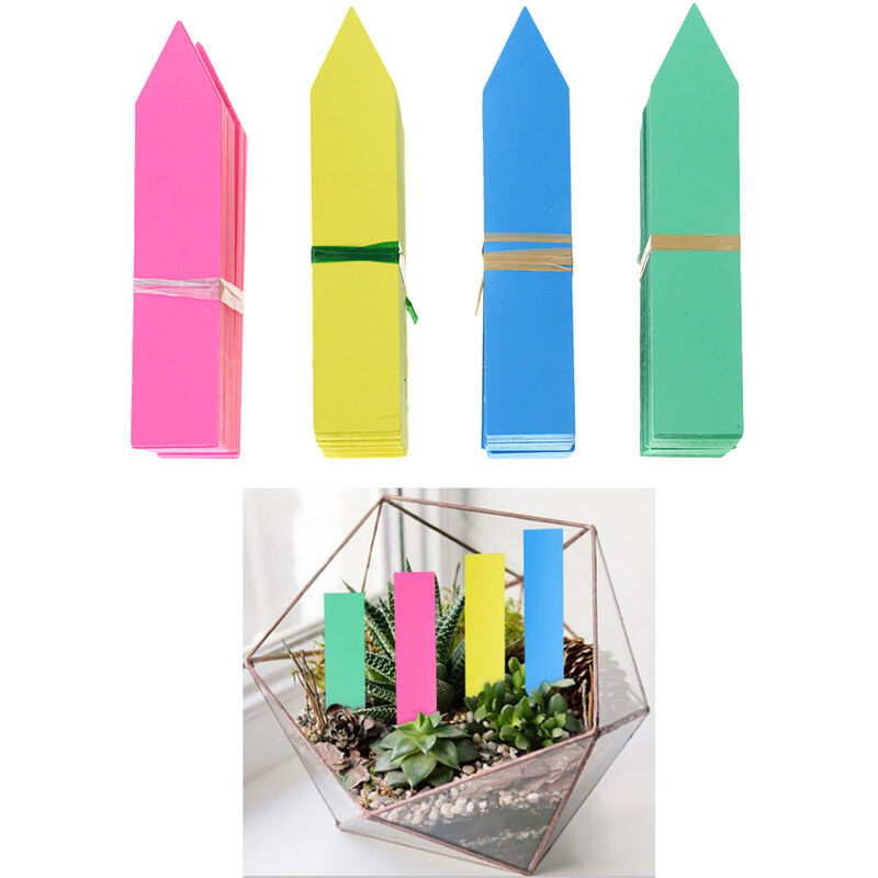 100 pezzi di plastica molti colori tipo di palo