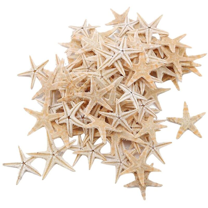 100 pezzi naturali di stelle marine conchiglie da