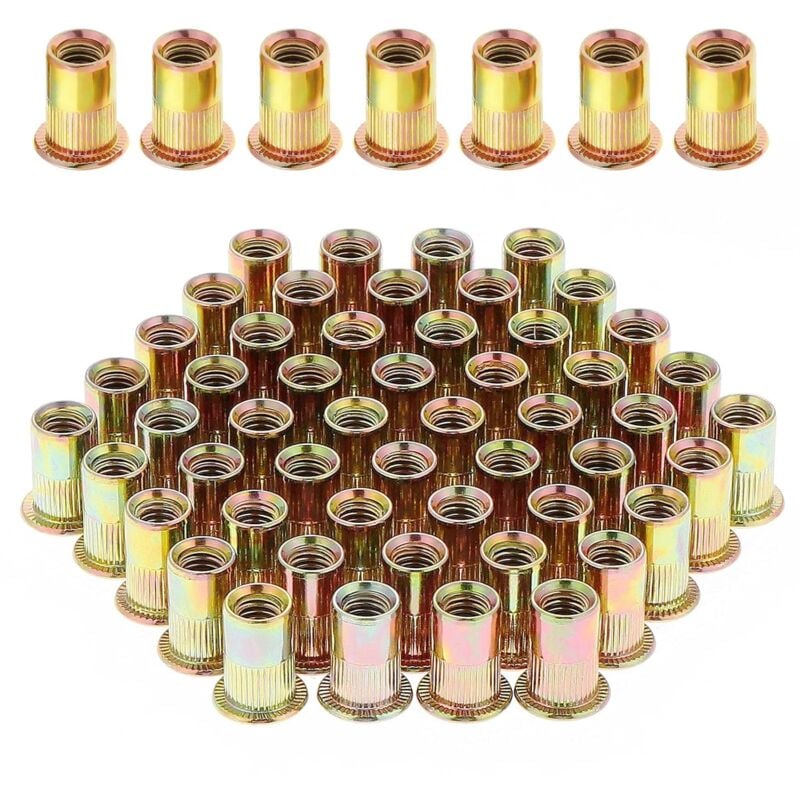 100 Pièces Écrou à Rivet M8 Fileté à Tête Plate, Écrous à Riveter Fileter en Acier au Carbone Zingué, Assortiment M8 Rivet Inserts Filetés pour Métal