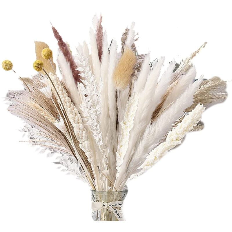 Tlily - 100 PièCes Fleurs SéChéEs 10 Sortes D'Herbe de Pampa 17.32 Pouces DéCor D'Herbe de Pampa Remplisseurs de Vase Queues de Lapin Fleurs SéChéEs