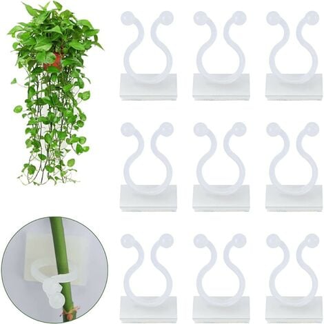 100 pièces clips pour plantes clips pour plantes muraux clips pour plantes auto-adhésifs clips muraux pour plantes grimpantes fixations murales pour plantes grimpantes clips de fixation mur (blanc)