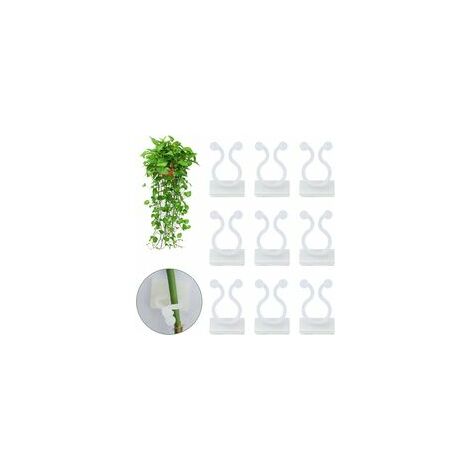 100 pièces clips pour plantes clips pour plantes muraux clips pour plantes auto-adhésifs clips muraux pour plantes grimpantes fixations murales pour plantes grimpantes clips de fixation mur (blanc)