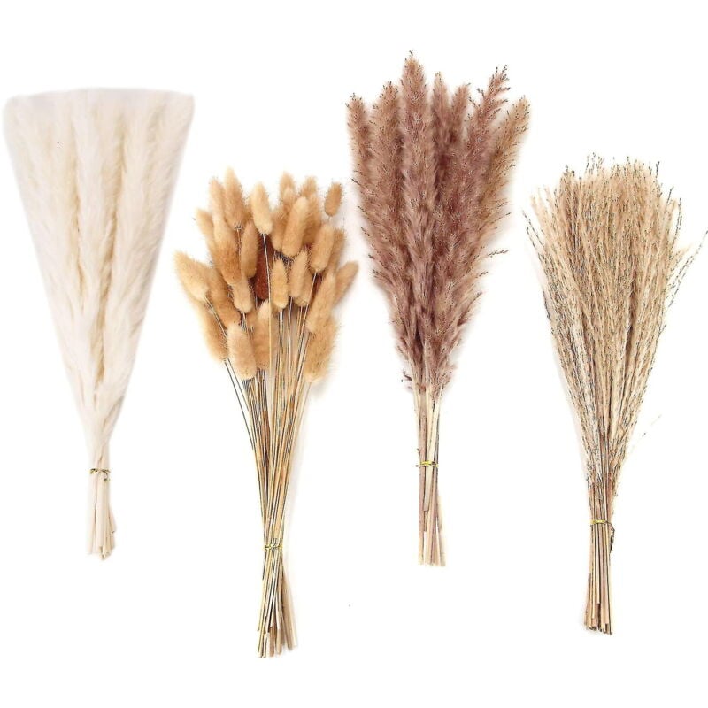 100 pièces d'herbe de pampa séchée décorative, herbe de pampa, lapin, fleurs séchées, bouquet d'herbe de roseau pour mariage