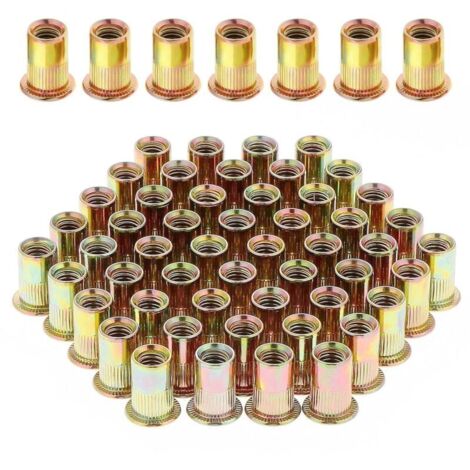 100 Pièces Écrou à Rivet M8 Fileté à Tête Plate, Écrous à Riveter Fileter en Acier au Carbone Zingué, Assortiment M8 Rivet Inserts Filetés pour Métal Plastique (14 mm x 18 mm)