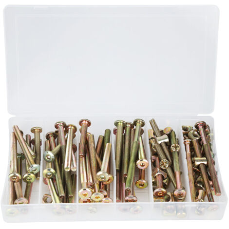 100 Pièces Écrous Vis M6 Acier Galvanisé pour Assemblage Meubles - Kit Assortiment