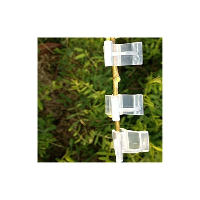 Yozhiqu - 100 pièces greffage Porte-Plante Clips Jardin greffage Clips pour Tomate légumes Fleur Tige connecter