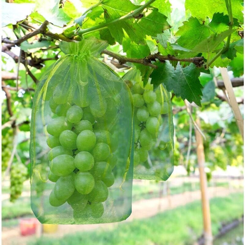 100 pièces Sac de protection de Grappes de Raisin - 30 x 20 cm - Vert - Avec cordon - Donne protection totale contre les guêpes, les oiseaux
