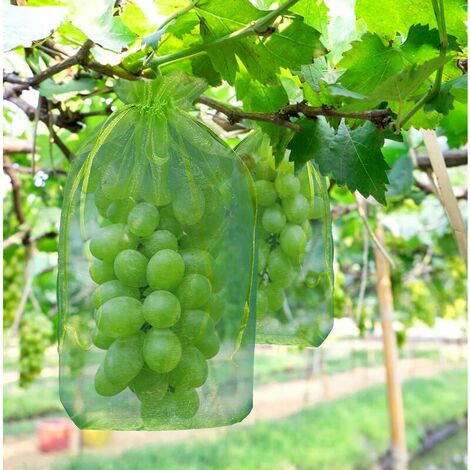 100 pièces Sac de protection de Grappes de Raisin, taille: 30 x 20 cm, couleur: vert, avec cordon, donne protection totale contre les guêpes, les oiseaux, Matériau: Organza