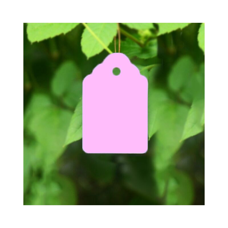 100 pz Materos Para Plantas piante PVC plastica